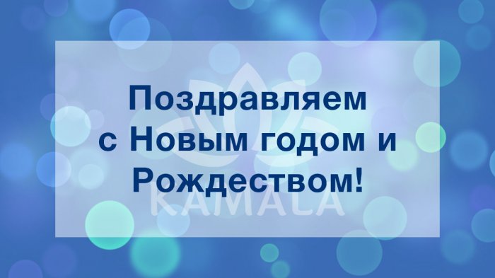 С Рождеством и Новым Годом 2025!