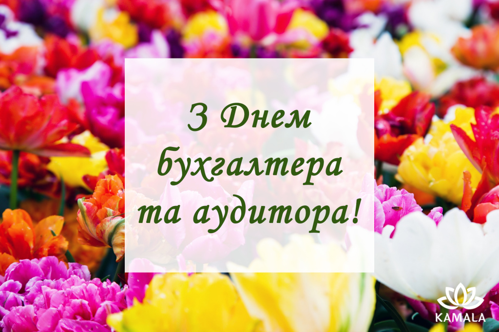 день бухгалтера 2025 камала софт