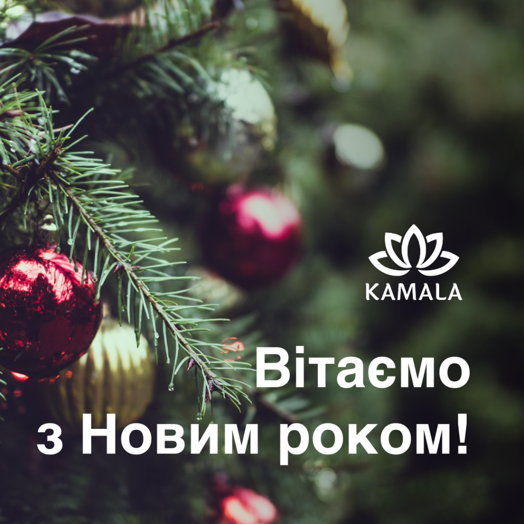 Камала Новий рік Листівка 2025.png